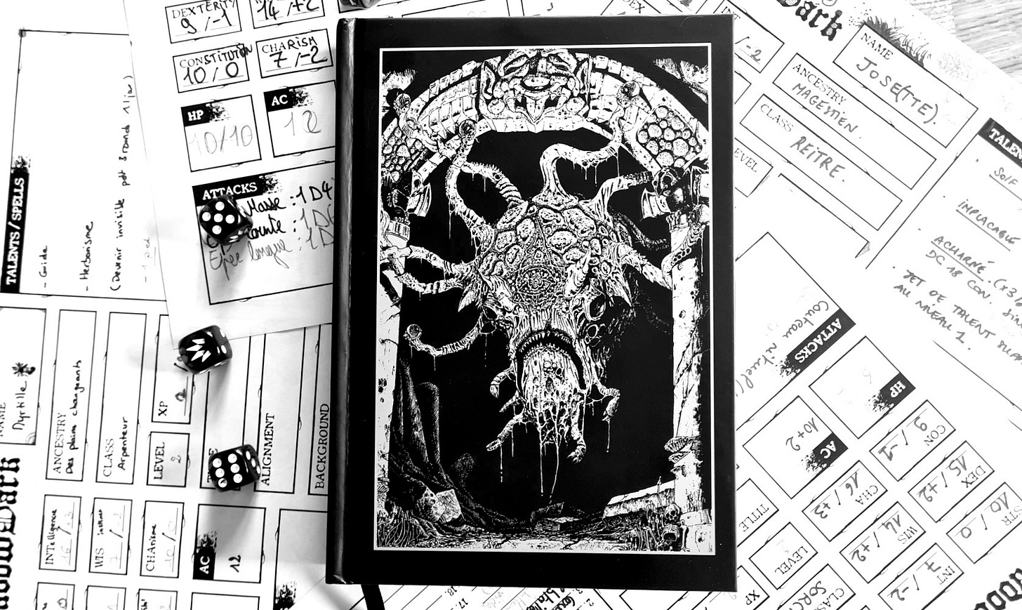 The Shadowdark book